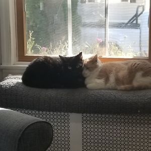 Meet your Posher, Mary